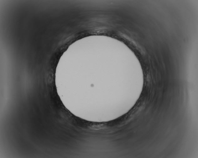 X0000086781447200705111745