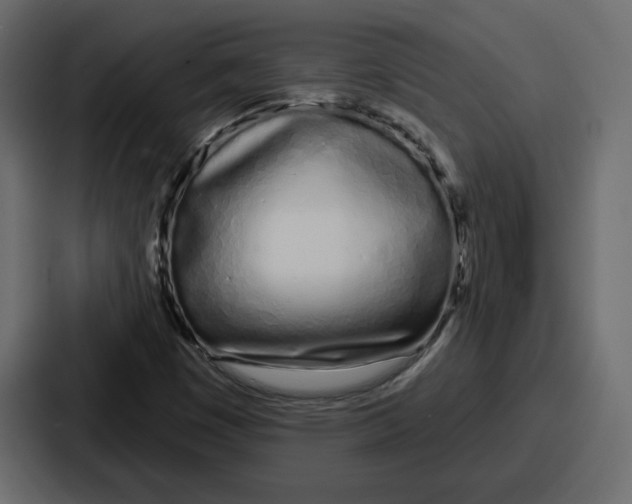 X0000086781449200705111745