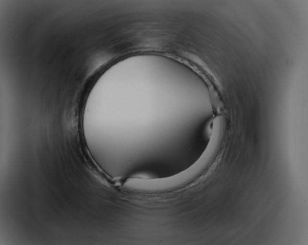 X0000086781450200705111745