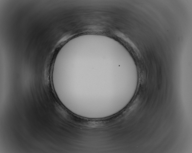 X0000086781451200705111745