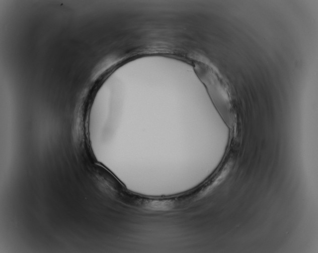 X0000086781453200705111745