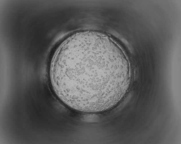 X0000086781454200705111745