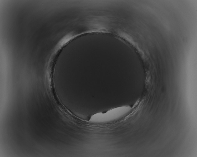 X0000086781455200705111745