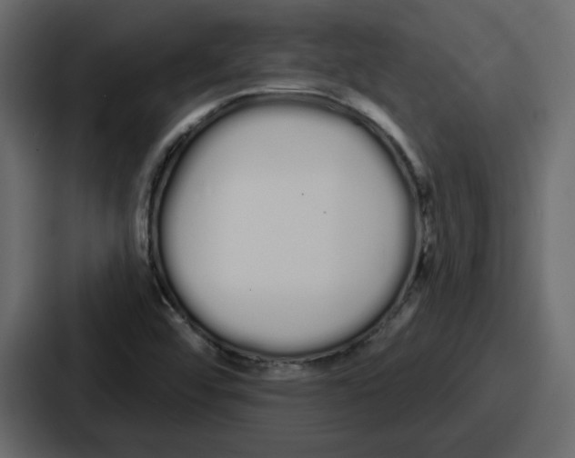 X0000086781456200705111745