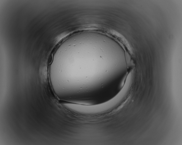 X0000086781457200705111745