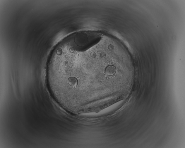 X0000086781459200705111745