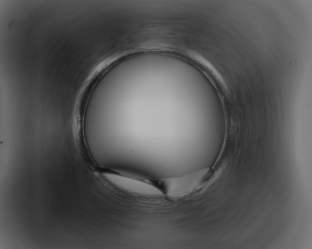 X0000086781461200705111745