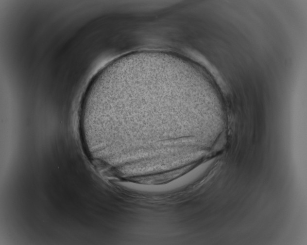 X0000086781463200705111745