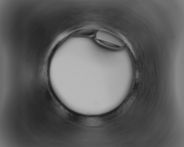 X0000086781464200705111745