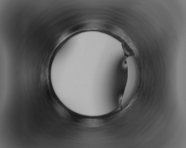 X0000086781465200705111745