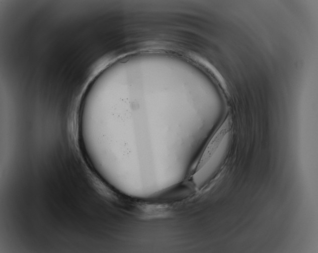 X0000086781467200705111745