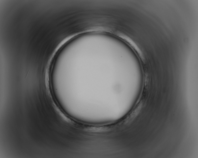 X0000086781468200705111745