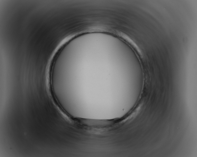 X0000086781469200705111745