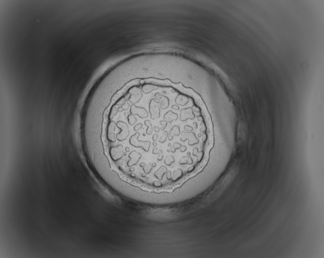 X0000086781470200705111745