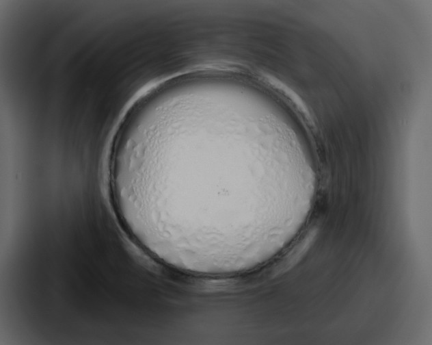 X0000086781471200705111745