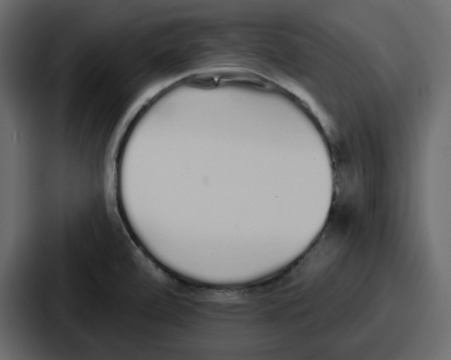 X0000086781472200705111745