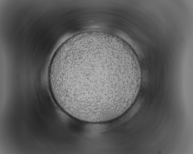 X0000086781474200705111745