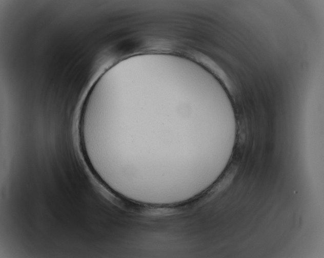 X0000086781475200705111745