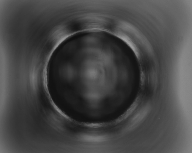 X0000086781476200705111745