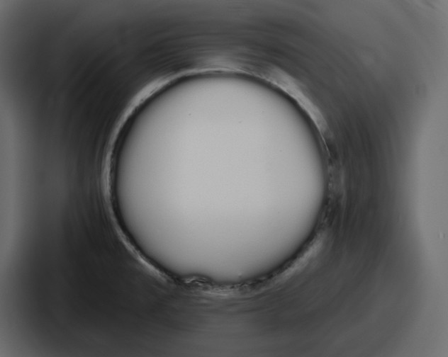 X0000086781477200705111745