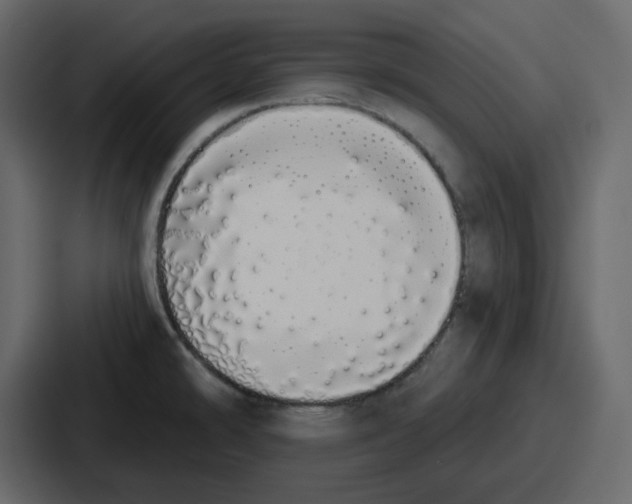 X0000086781478200705111745