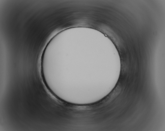 X0000086781479200705111745