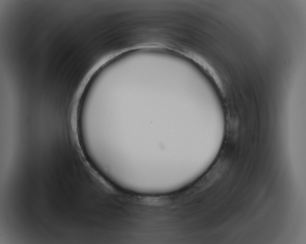 X0000086781480200705111745