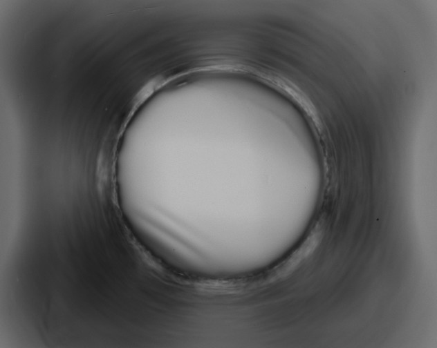 X0000086781481200705111745