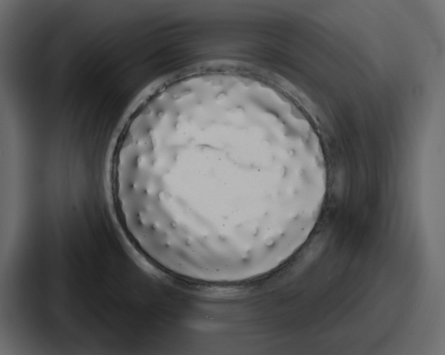 X0000086781482200705111745