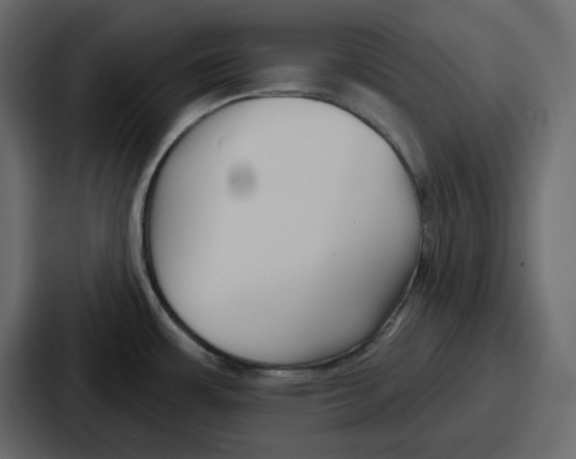 X0000086781483200705111745