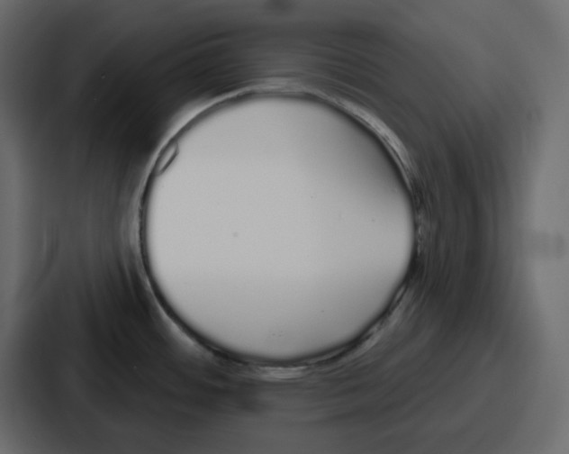 X0000086781484200705111745