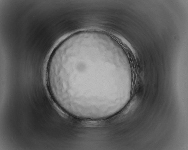 X0000086781485200705111745