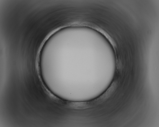 X0000086781486200705111745