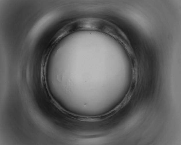 X0000086781487200705111745