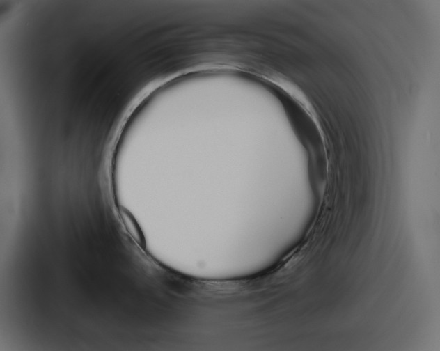 X0000086781488200705111745