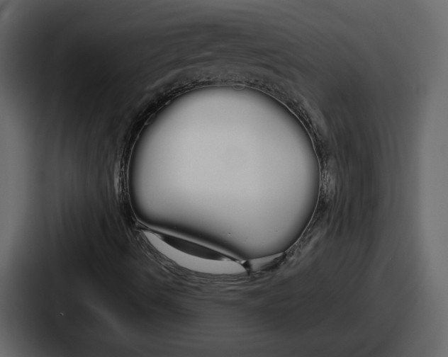 X0000086781490200705111744