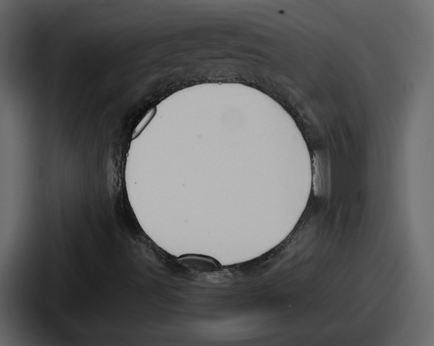 X0000086781491200705111744