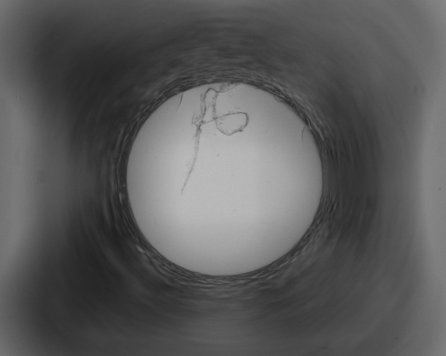 X0000086781492200705111744