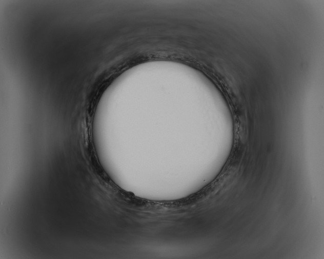 X0000086781493200705111744