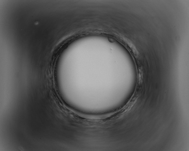 X0000086781494200705111744