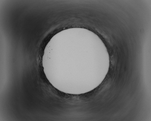 X0000086781495200705111744