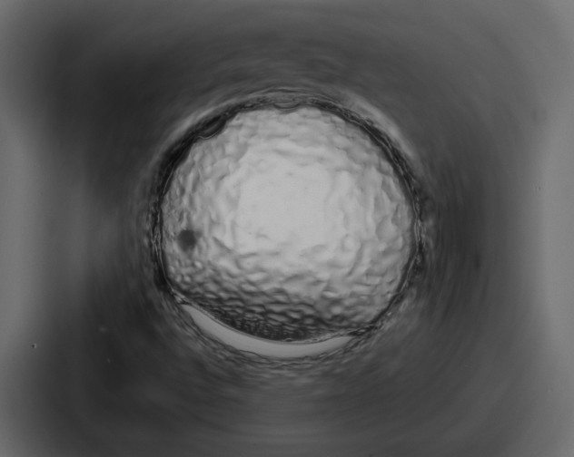 X0000086781496200705111744