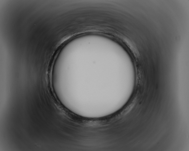 X0000086781497200705111744