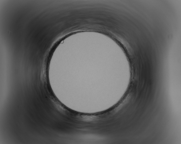 X0000086781498200705111744