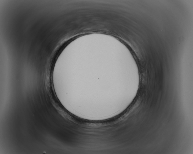 X0000086781499200705111744