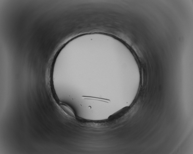 X0000086781500200705111744