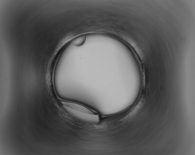 X0000086781501200705111744