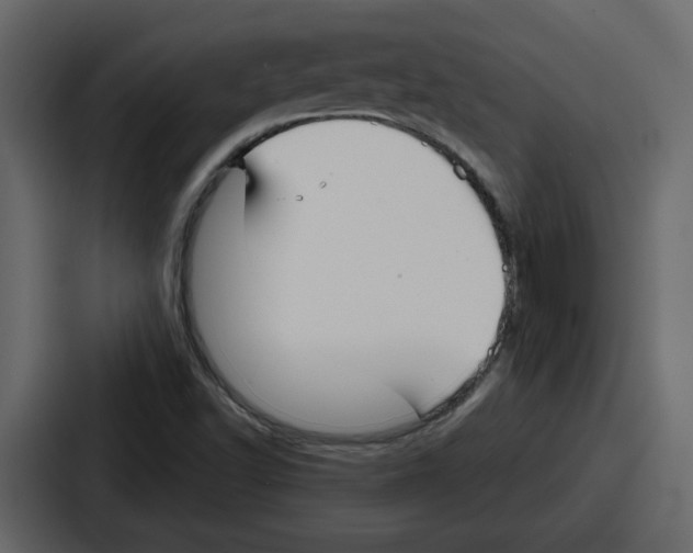 X0000086781502200705111744