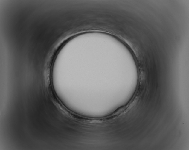 X0000086781503200705111744