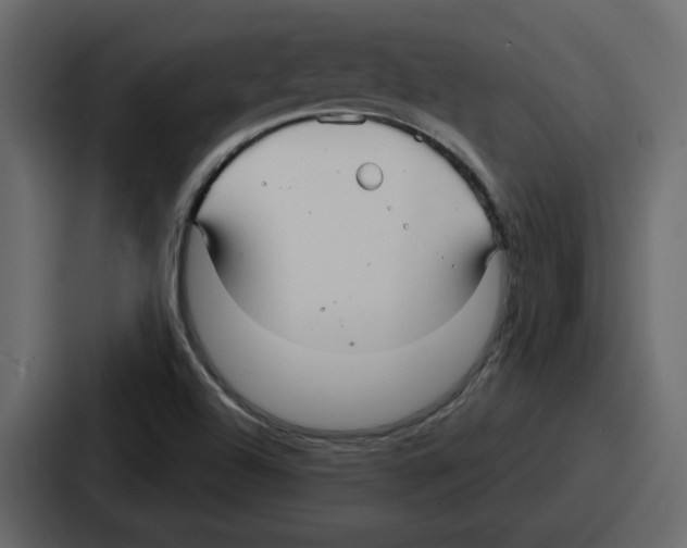 X0000086781504200705111744